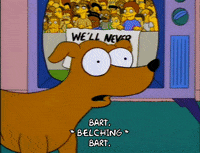 season 4 dog GIF
