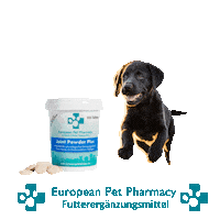 La Retrieve Sticker by Europeanpetpharmacy