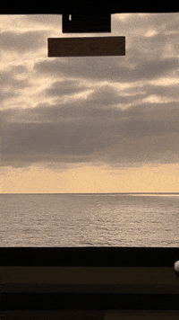 Los Angeles Travel GIF