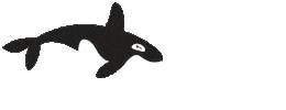 Orca Whale Swimming Sticker by Munchkin