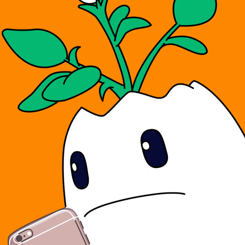 Excuse Me Wtf GIF by Magic Eden