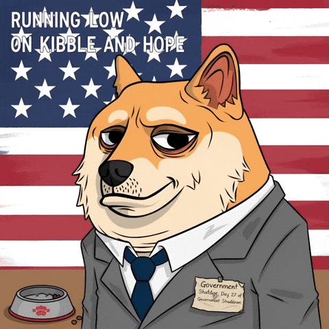 Shiba Inu Usa GIF by Doge Pound