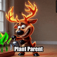 Plants Garden GIF by elkijahspark