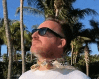 Switzerfilm no shake tj switzerfilm GIF