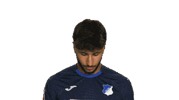 Look Up Tsg Hoffenheim Sticker by Bundesliga