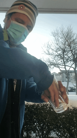TheApocalypse giphyupload GIF