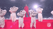 National Football League GIF by NFL