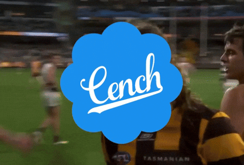 beartorius giphyupload cenchfooty friendofthecench GIF