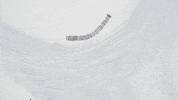 Loop Drifting GIF by Red Bull