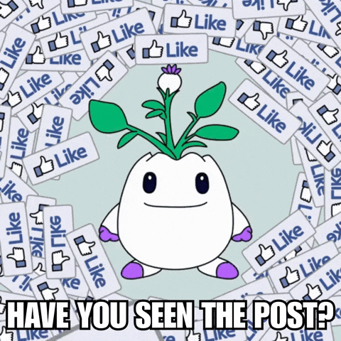 Social Media Love GIF by Magic Eden