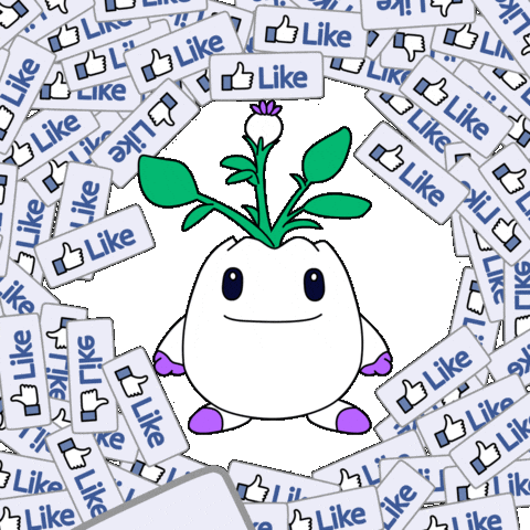 Social Media Love GIF by Magic Eden