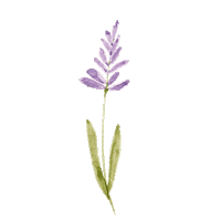 amoproa ritual metime lavanda proa Sticker