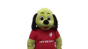 Ostfriesland Sticker by SpVg Aurich