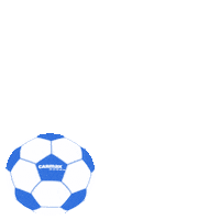 Football Save Sticker by CarMax