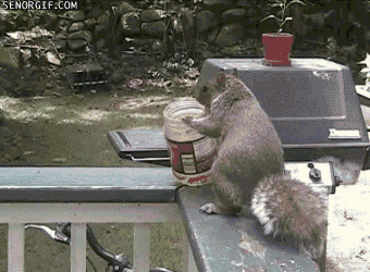 interested peanut butter GIF by Cheezburger