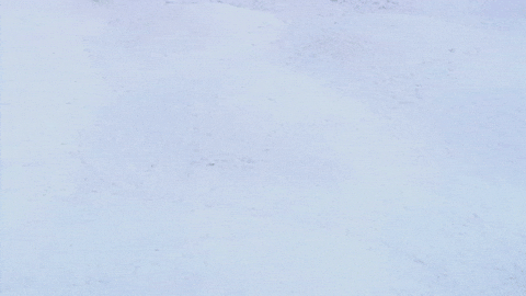 Uh Oh Help GIF by Teletubbies