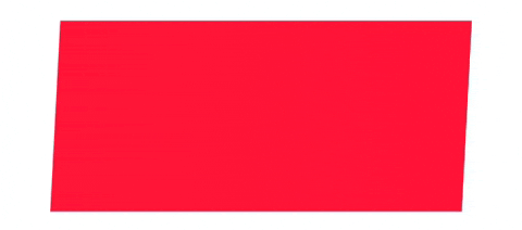 WendyMeihli trump maga minority minorities GIF