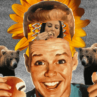 flowers collage GIF by Percolate Galactic