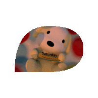 DOGUDAILY saturday present dogudaily Sticker