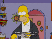 homer simpson GIF