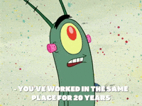 season 8 episode 6 GIF by SpongeBob SquarePants