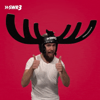 Excited Top GIF by SWR3