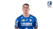 Handball-Bundesliga Handball GIF by LIQUI MOLY HBL