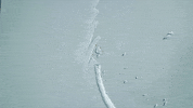 beauty landscape GIF by BBC Earth