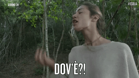 dove dov'è GIF by Isola dei Famosi