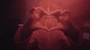 GIF by IVY PARK