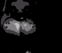 Shocked GIF
