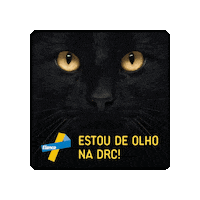 Cat Pet Sticker by Elanco Brasil
