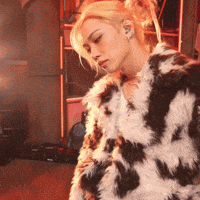 Stray Kids Skz GIF