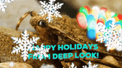 GIF by KQEDScience