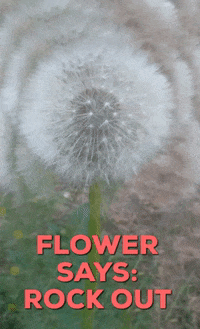 Fun Rock Out GIF by Caroline - The Happy Sensitive