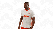 Goal Win GIF by RB Leipzig