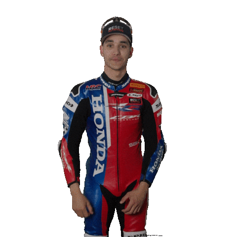 Happy Honda Sticker by WorldSBK
