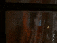 adventure hello GIF by 5 Gum