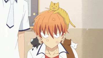 fruits basket kyo GIF by Funimation