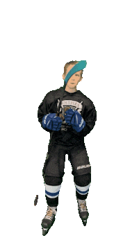 Hockey Sticker by ledoritulys.lt