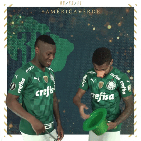 Soccer Futebol GIF by SE Palmeiras
