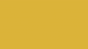 social media instagram GIF by Rewire.org