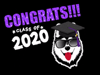 UWFosterTMMBA uwgrad huskygrad uwhusky GIF