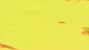 Loop Fire GIF by Xbox