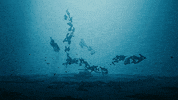 Float E3 GIF by Xbox