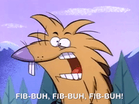 nickrewind nicksplat angry beavers GIF
