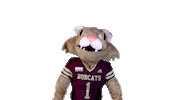 Boko Sticker by Texas State University