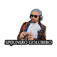 Pigeon Meme Birds Arent Real Sticker