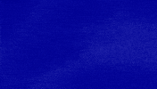 Say What No Regrets GIF by Jeopardy!