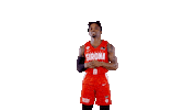 Celebrate Liga Endesa Sticker by ACB
